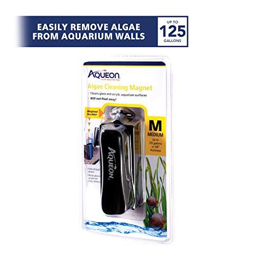 Aqueon Algae Cleaning Magnets Glass/Acrylic Medium Assorted Sizes