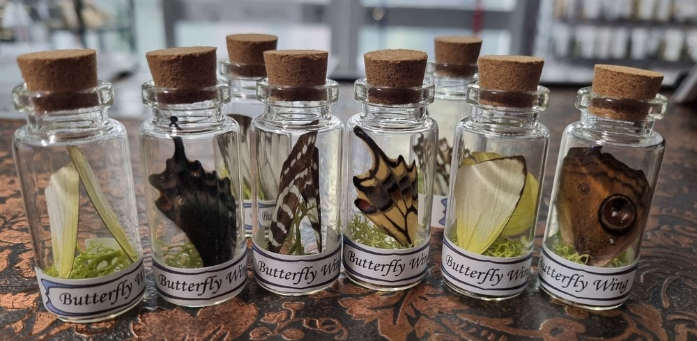 Butterfly Wing