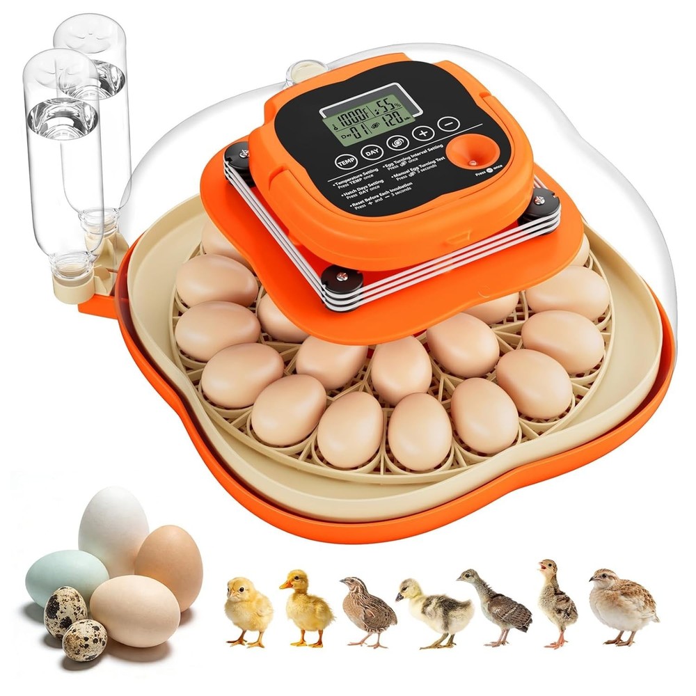 Compact Egg Incubator for Multiple Bird Species