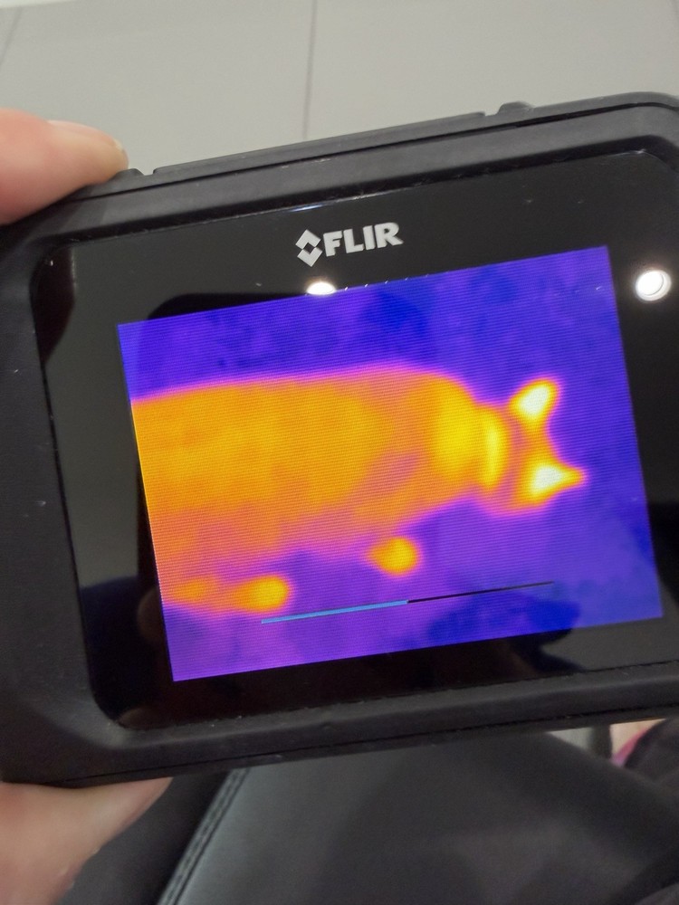 FLIR C2 Compact Thermal Imaging Camera – exelent condition , Accessories