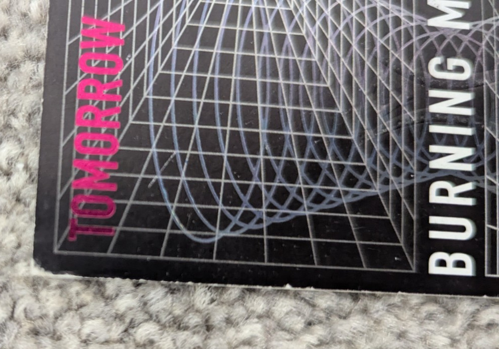 Burning Man Ticket Used Torn Stub 2025