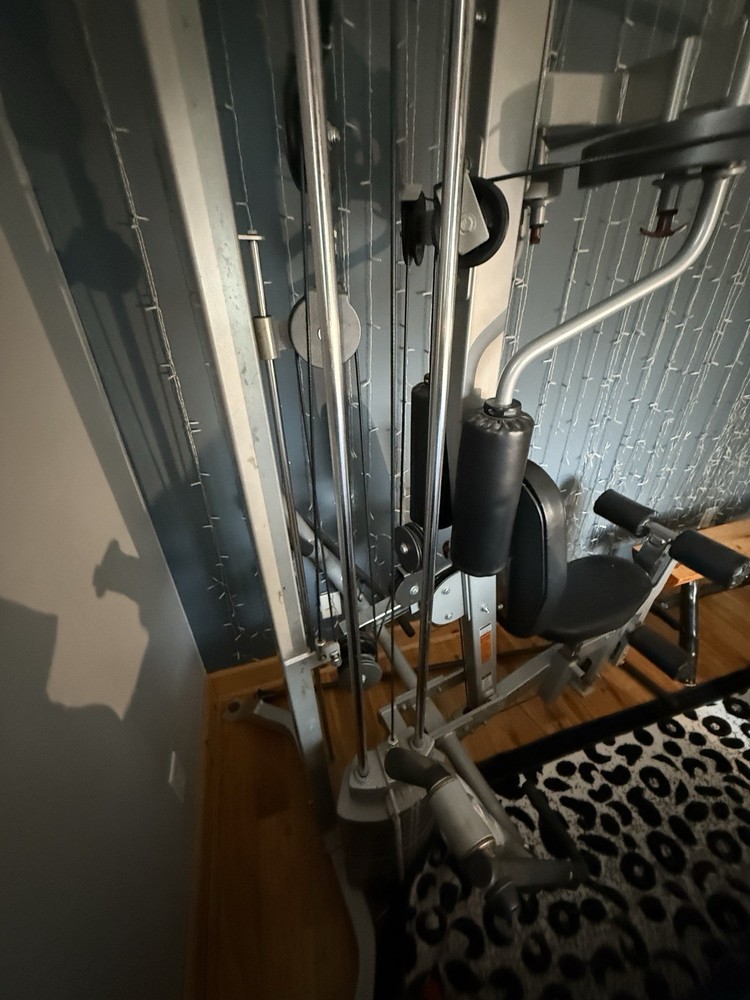 Hoist Home Gym