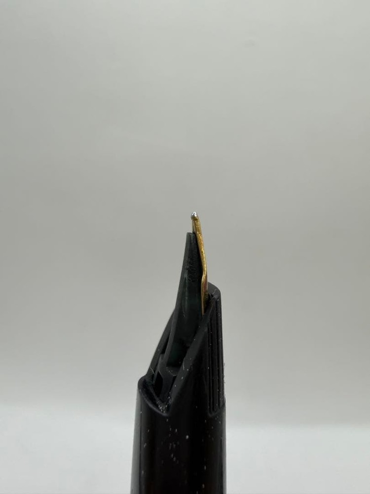 Fountain Pen Pilot 14K 585