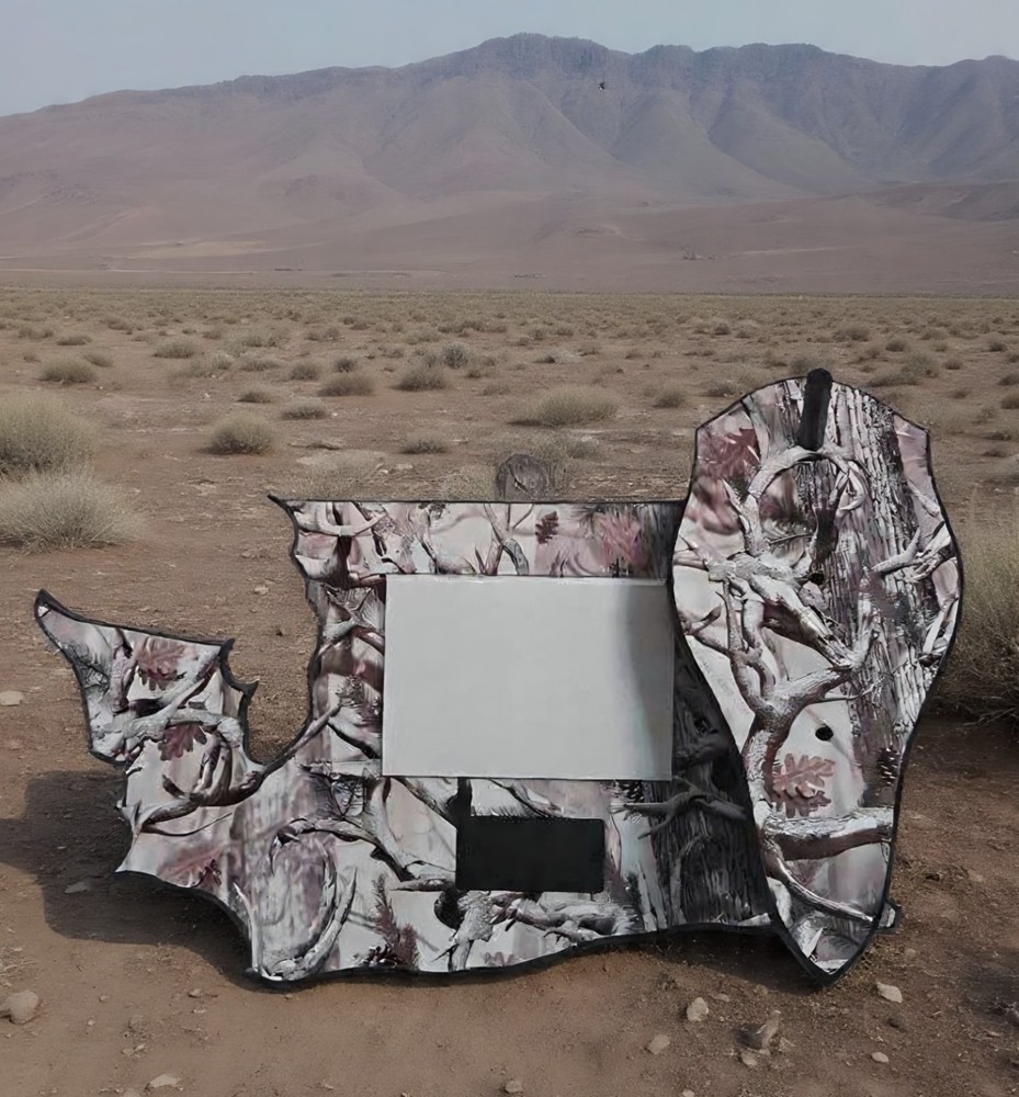 European mount Camo covered state