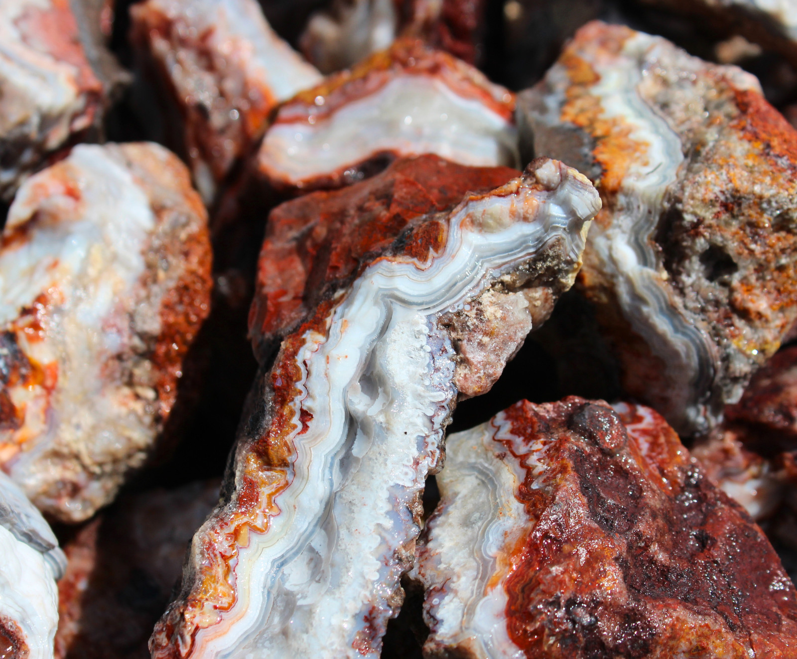 Mexican Lace Agate - Rough Rocks for Tumbling from Mexico - Bulk Wholesale