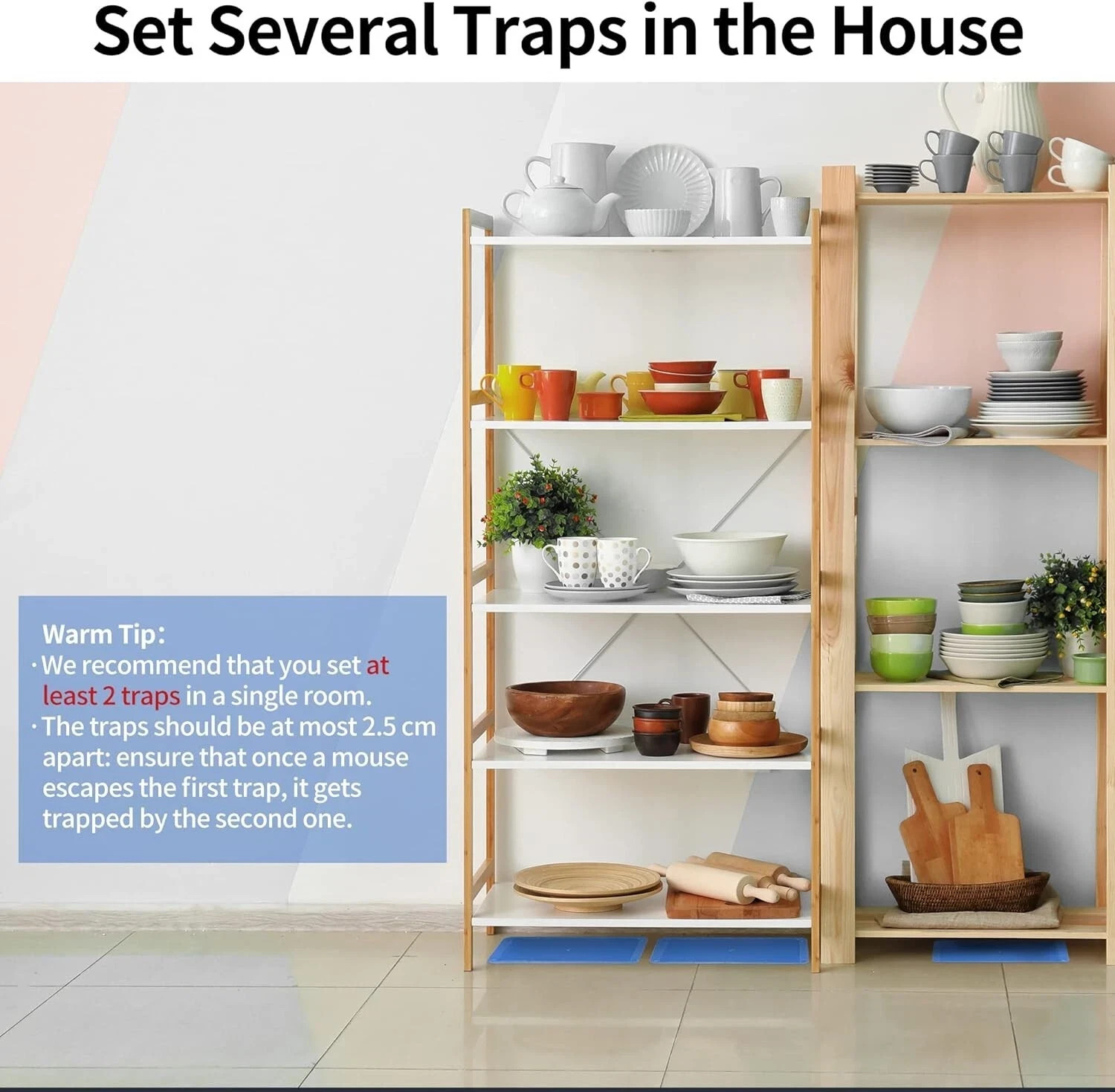 Super Glue Traps 48 Pack for Mice & Snakes, Larger, Heavier, Non-Toxic Glue.