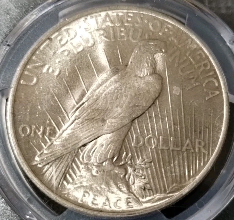 1923 Peace dollar PCGS MS64