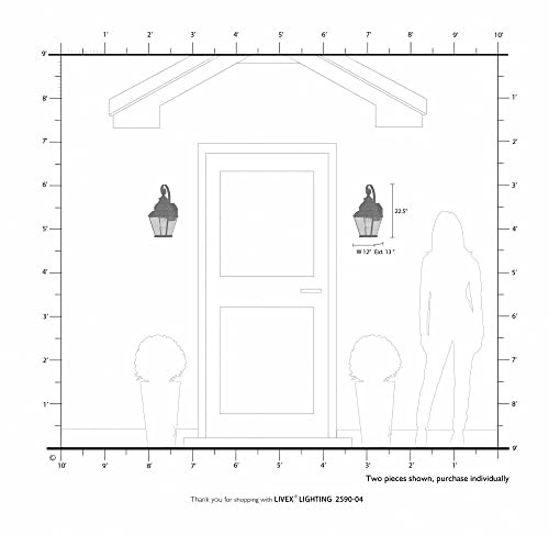 Lighting 2590-91 Transitional One Light Outdoor Wall Lantern Brushed Nickel