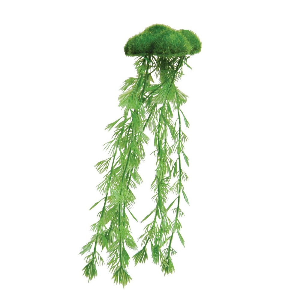 RA Floating Moss with Roots - Large