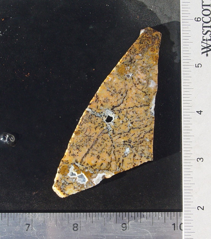 Cheetah Agate Lapidary Slab T988