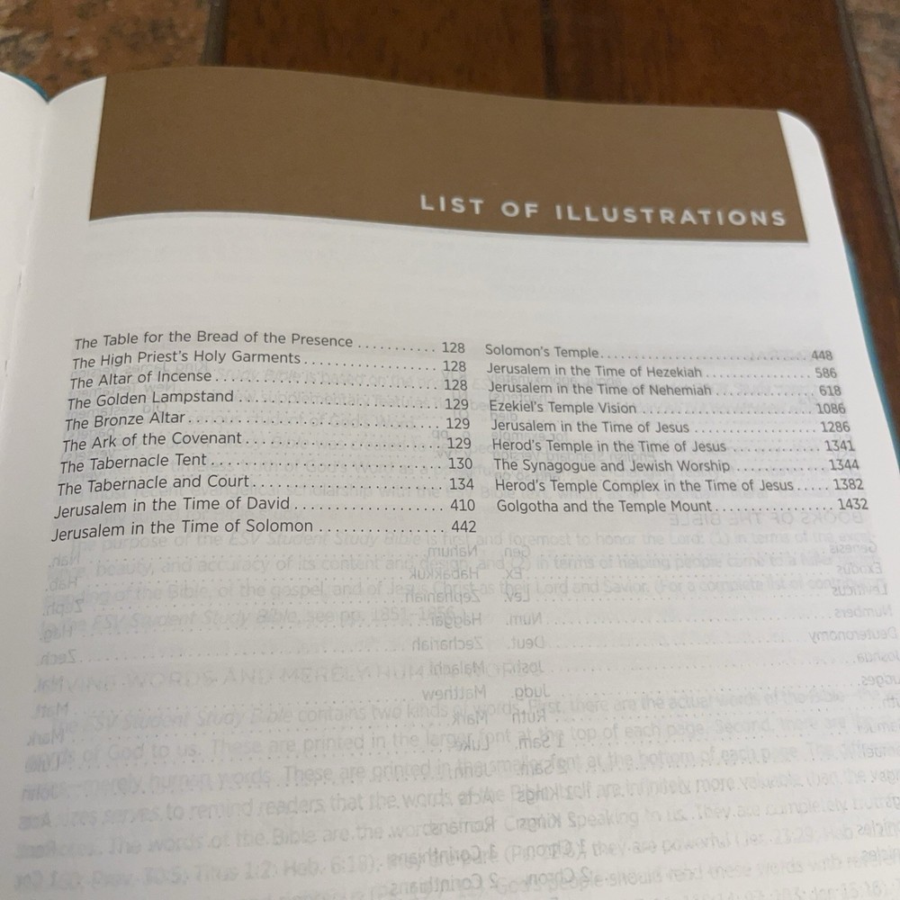 ESV Student Study Bible Imitations Leather Good