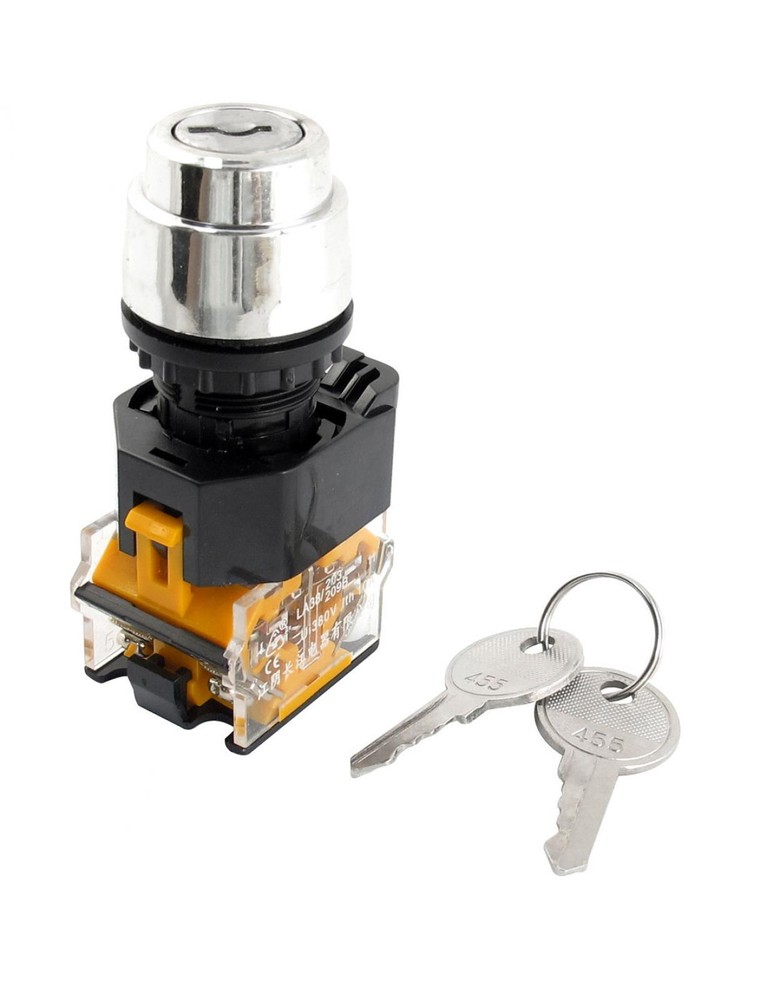 DPST 2 Positions Key Rotary Selector Switch 380V 10A 22mm Dia Thread