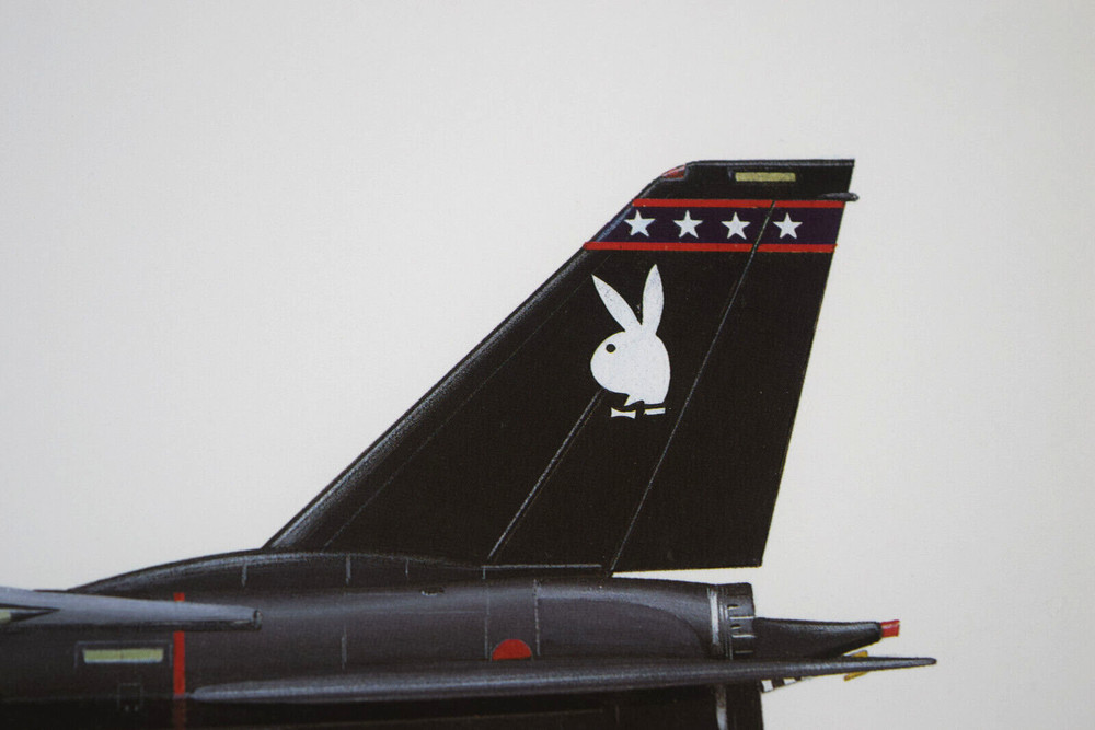Aviation Art - F-14A Tomcat VX-4 'Evaluators' like Squadron Prints