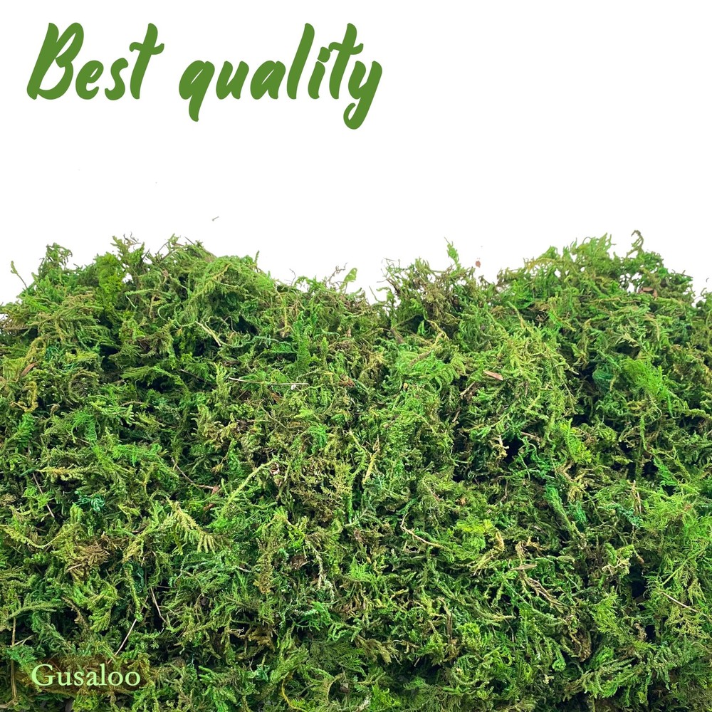 Green Moss for Crafts Artificial Decorative Potted 100g,