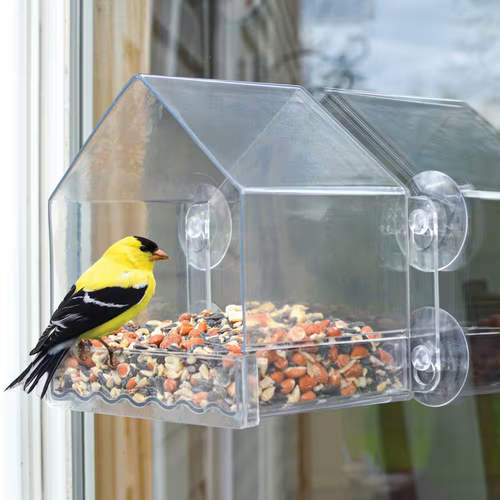 Clear View Window Bird Plastic Feeder 2 Cup