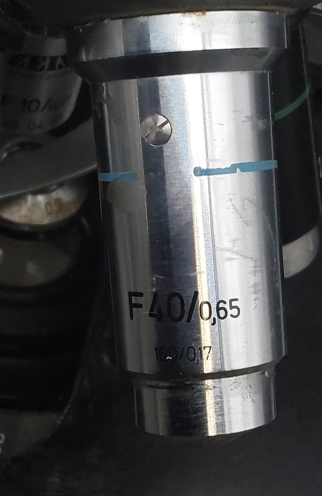 Zeiss Comparison Stereo Binocular Microscope 473041-9901 452903