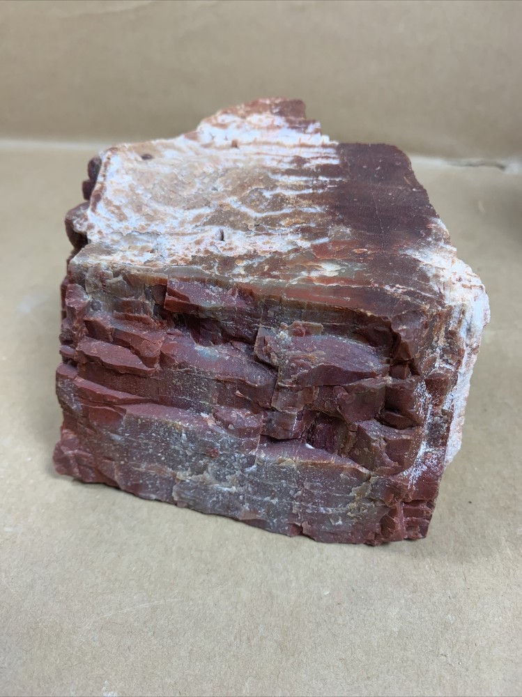 Fossil Petrified Wood & other Rocks