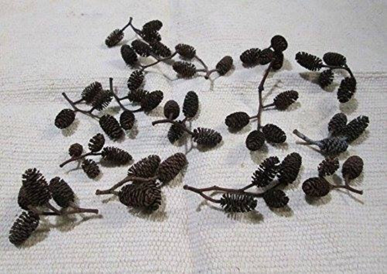 3 Nano Cholla Wood + 15 Filao Cones + 15 Alder Cones Aquarium Fish Invertebrates