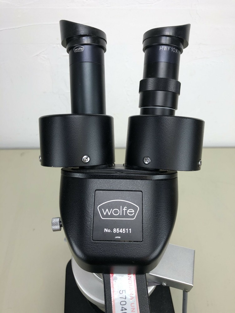 Wolfe Stereozoom with ring light illuminator & Wolfe HWF 10x Eyepieces