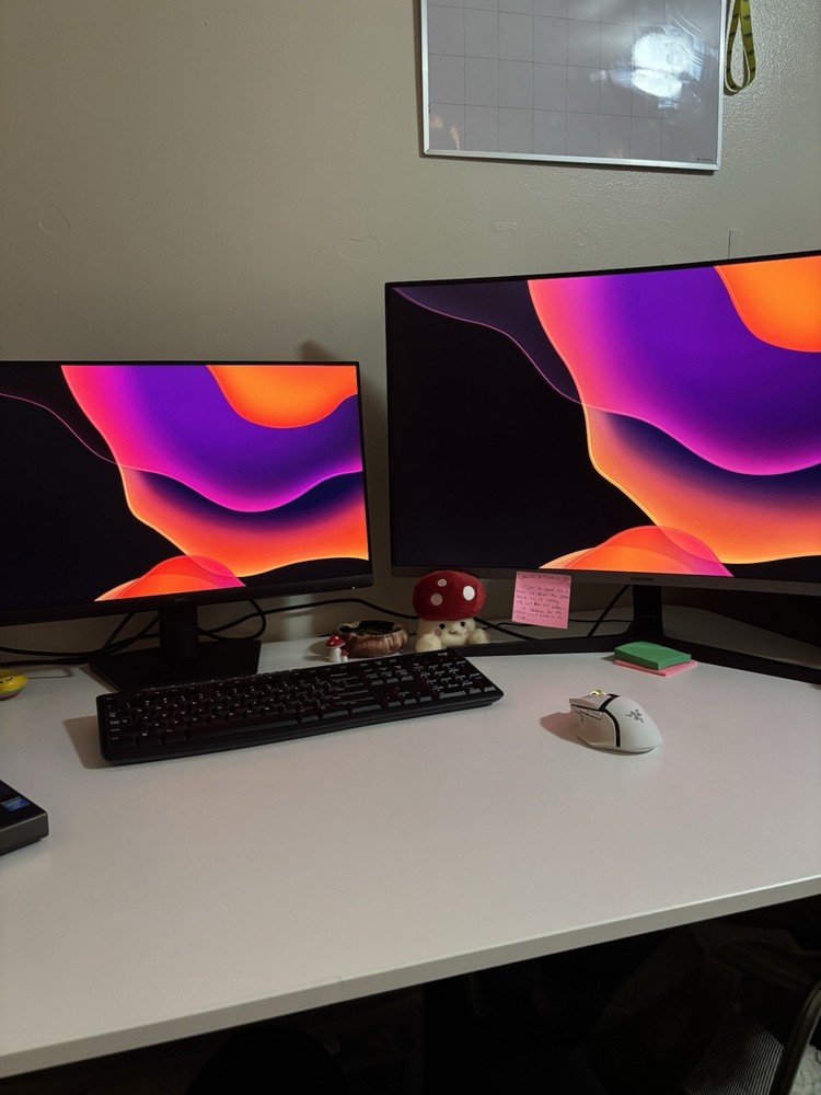 Gaming/ work set up- two monitors and mouse