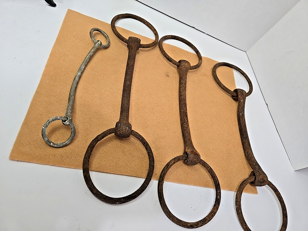 Bridle Bit 4 Equestrian Horse Mule READ
