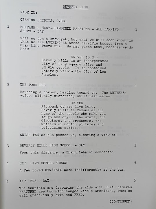 2 Vintage Original Scripts The Chicken Chronicles 1st & 2nd Draft Paul Diamond