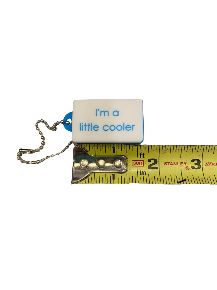 Little Cooler Keychain