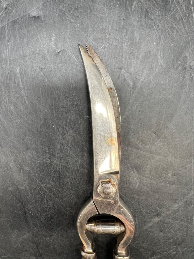 Vintage Bone Handled Carving Pruning Scissors Shears Antler Sterling Silver Tool