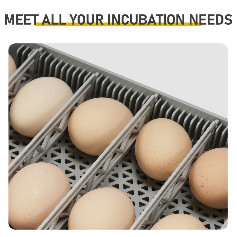 48H Pro 48-Egg Incubator Fully Automatic Egg Turner LED Candler US Plug