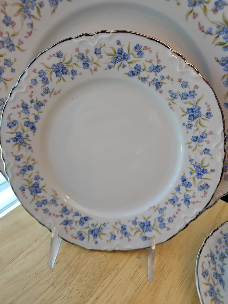 7 Pc Place Setting Mille Fleurs. by Hutschenreuther