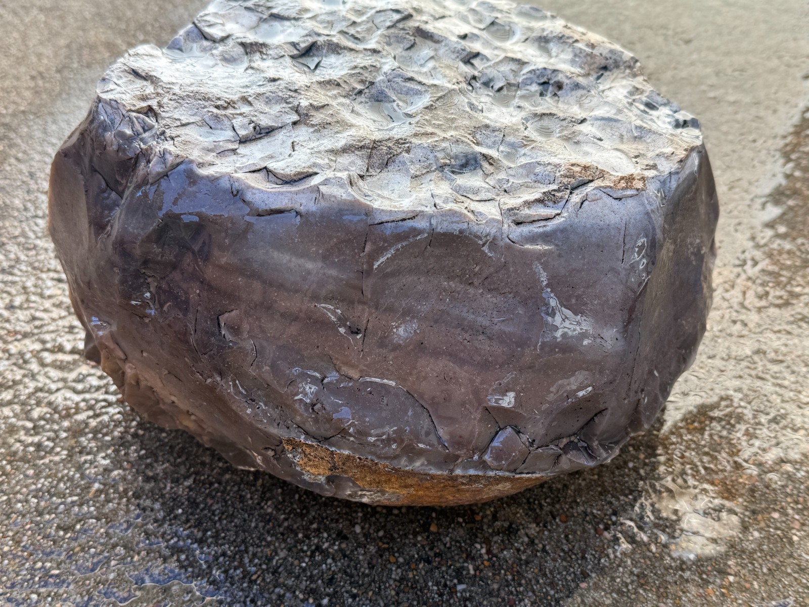 LARGE 30.4 lb Texas Flint Edwards Plateau Chert Nodule Garden City TX Knapping