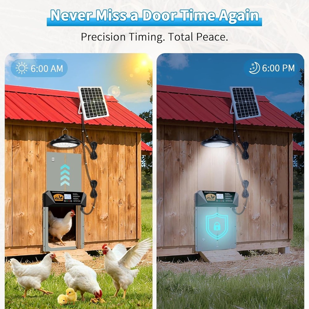 Extra Large Automatic Chicken Coop Door Solar Powered with Timer Light