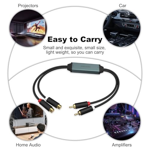 Ground Loop Filter Noise Isolator, Car Audio Mini Noise Filter RCA Noise