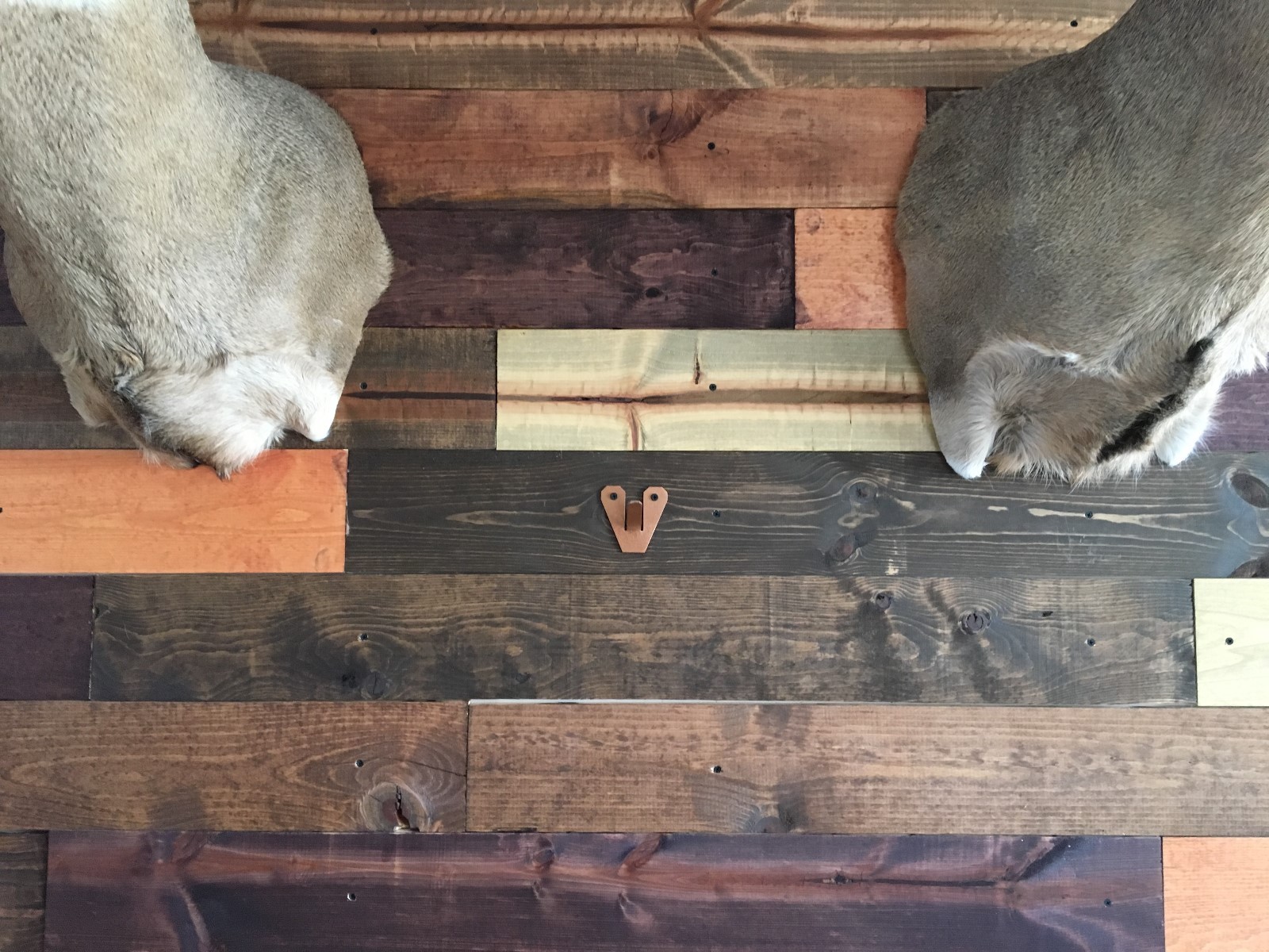 Amazeen Outdoors Flush Mount European Skull Hanger Deer Hook Metal Steel