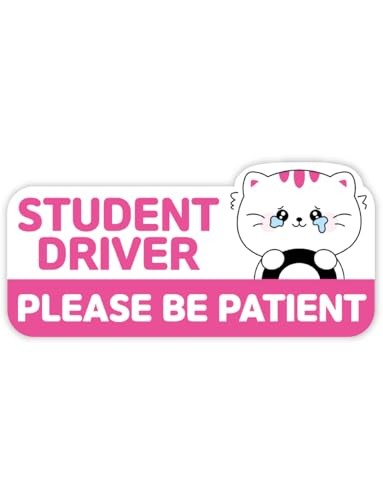 Student Driver Car Magnet Cute - Weather - Resistant Colorful - Rectangular Cat