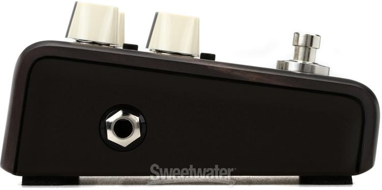 LR Baggs Align Delay Acoustic Delay Pedal