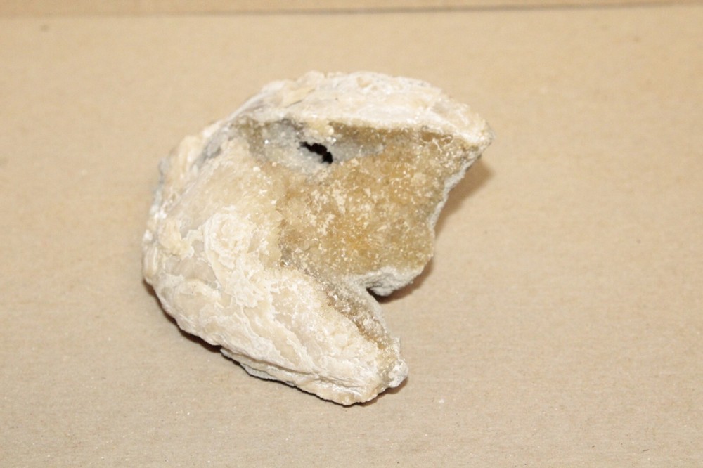 Calcite Fossil Clam Rucks Pit Florida #60