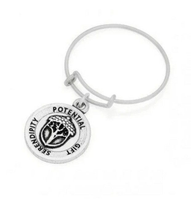 Alex and Ani UNEXPECTED MIRACLES Expandable Wire Ring Charm 925 Sterling Silver