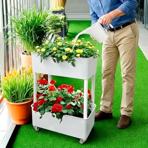 Self-Watering Raised Planter Box with Lockable Wheels,2 Plus Size Two-layer