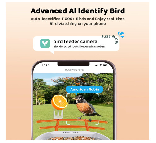 Smart Bird Feeder With Camera - AI Bird Identification - Solar Powered