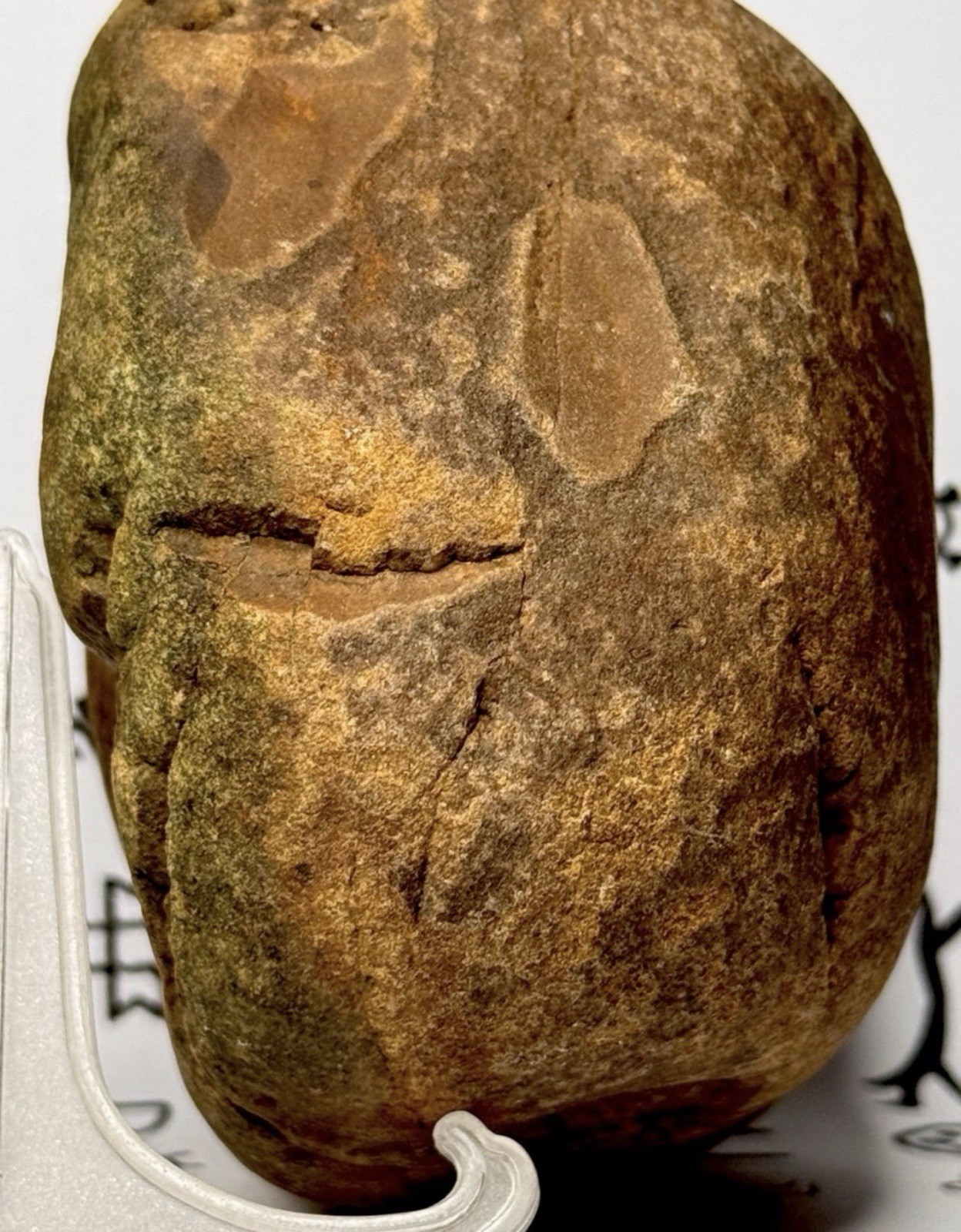 Native American Indian Authentic Artifact Stone Carved Effigy, 3 lb 2 oz • VA