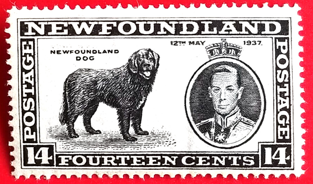 Canada Newfoundland #238 Long Coronation Issue MNG