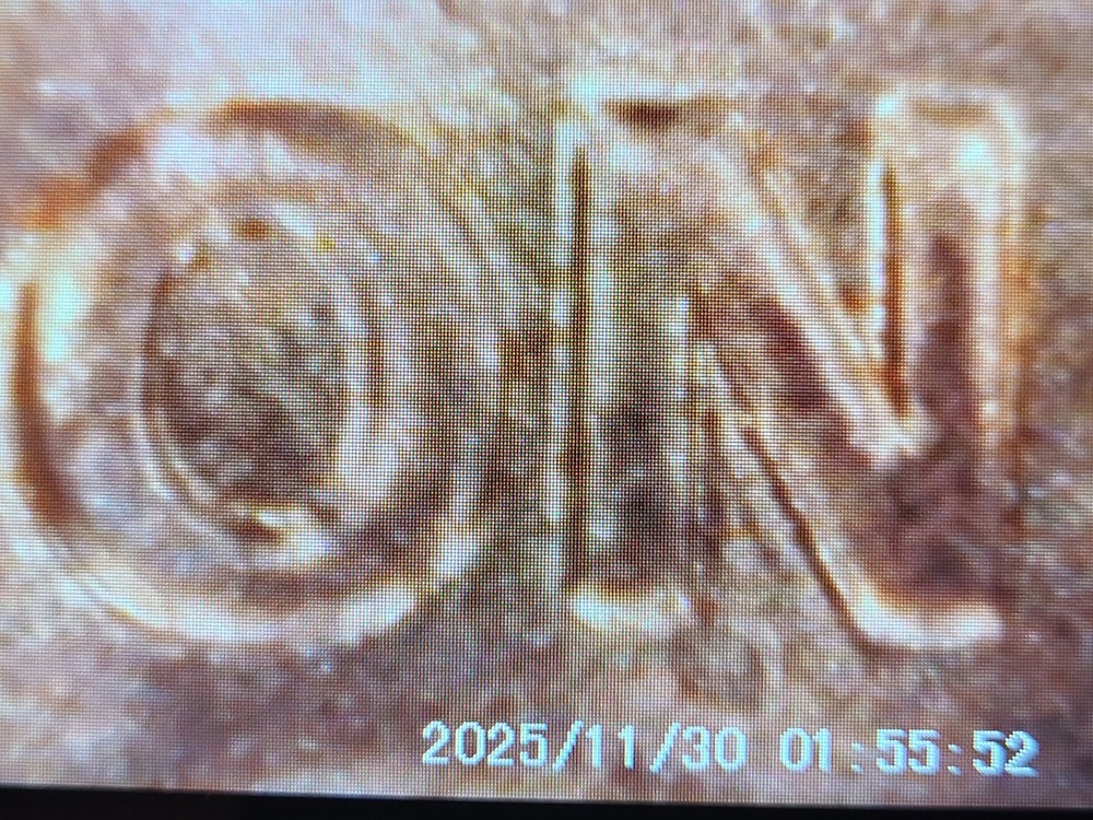 2022 D Penny With Errors..!