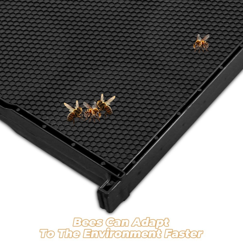 Beehive Frame with Black ABS Plastic and Wax Foundation for Beekeeping Use