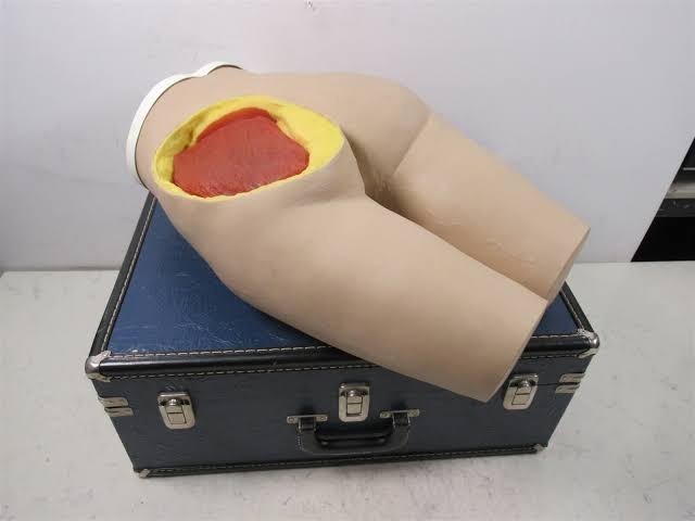 Nasco Life Form Intramuscular Injection Simulator LF00961U Nursing Trainer Box