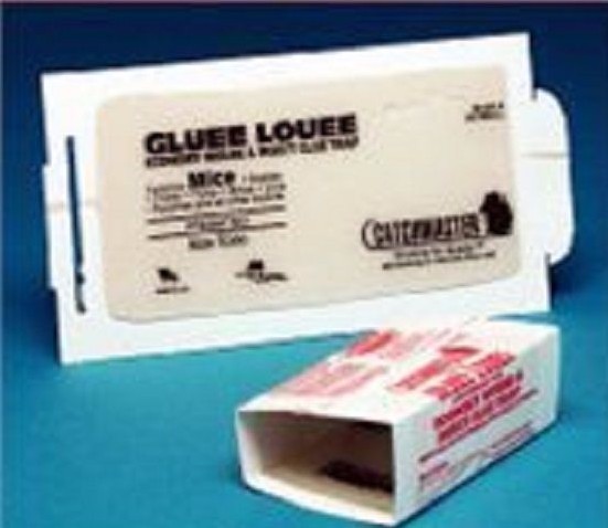 50 Catchmaster Gluee Louee Mice  glueboards , 150MBGL , Mouse Traps