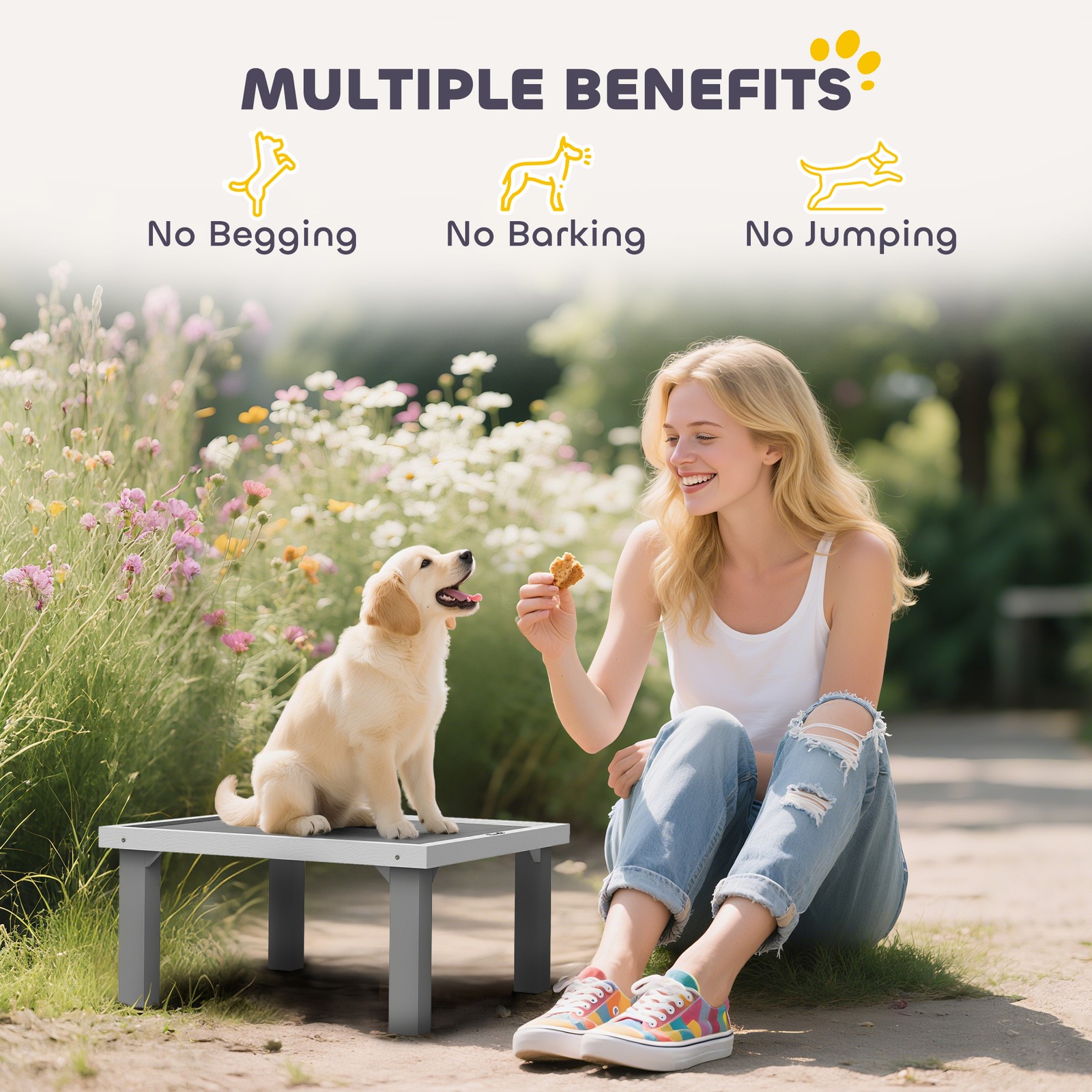 PawHut Wooden Dog Training Platform, Pet Training Place Board, Gray