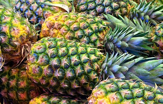 Pineapple fruit powder 16oz 1lb PAJE Immune system support, Bone strength