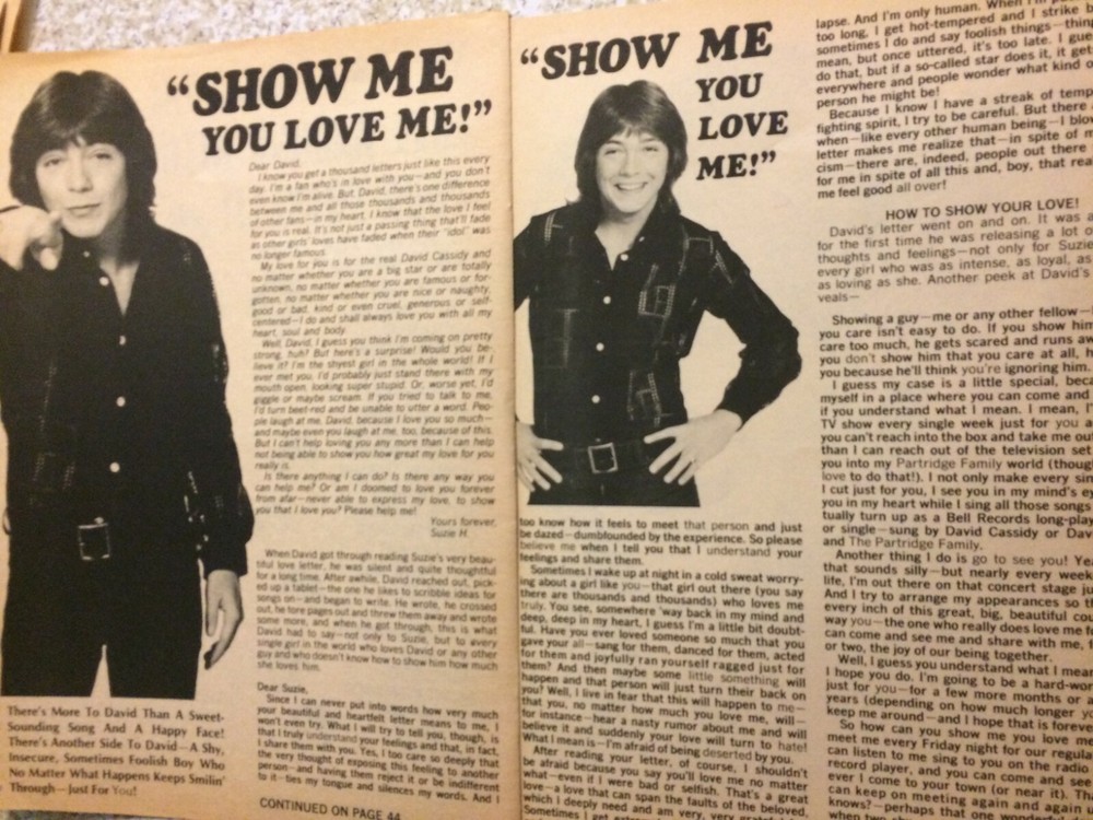 David Cassidy, Two Page Vintage Clipping