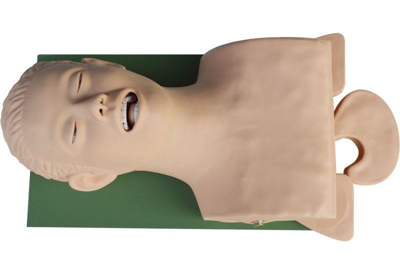 Airway Management Model, Healthcare Training Airway Manikin Patient Simulators